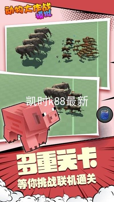 凯时k88最新