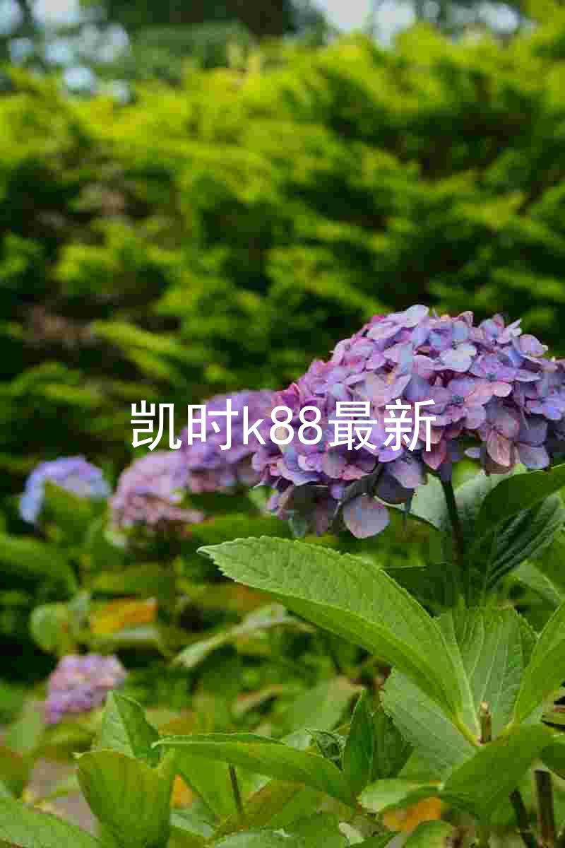 凯时k88最新