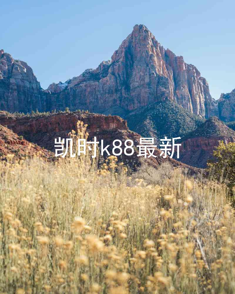 凯时k88最新